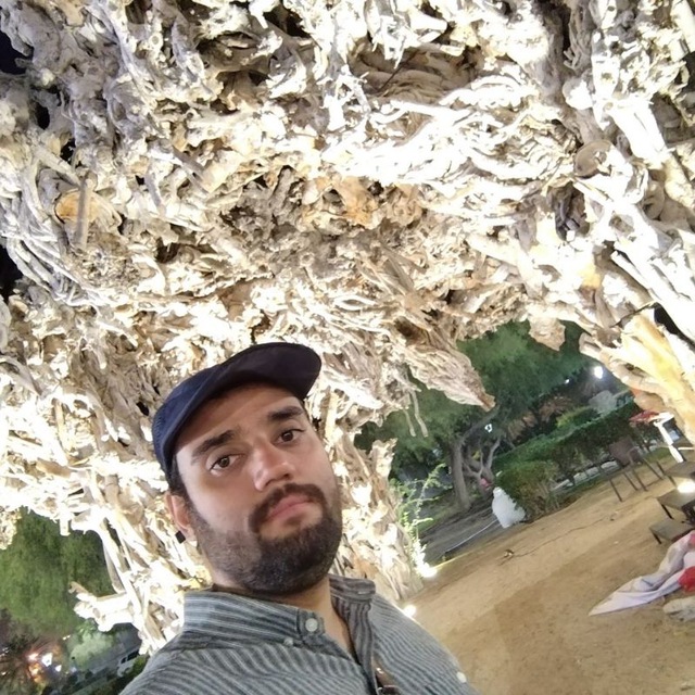 Hamed Mobarakehie
